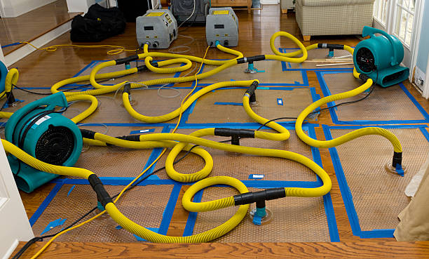 Professional Water Extraction technician working in Oakland, MO
